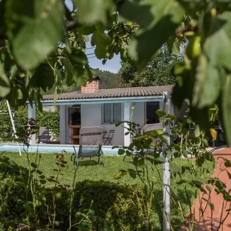 Delfim E Carmo - Entire House Com Piscina Hébergement de vacances São Pedro do Sul