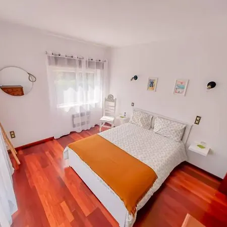 Delfim E Carmo - Entire House Com Piscina * São Pedro do Sul