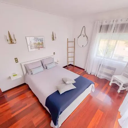 Delfim E Carmo - Entire House Com Piscina São Pedro do Sul