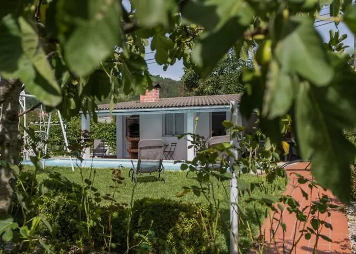 Delfim E Carmo - Entire House Com Piscina Casa vacanze São Pedro do Sul