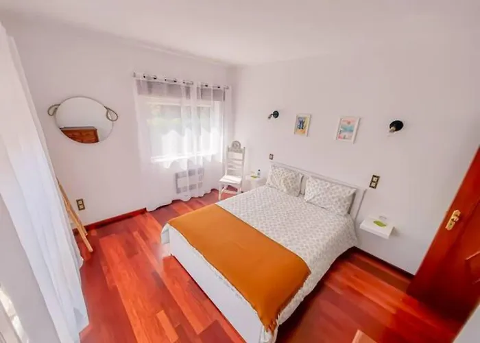 Delfim E Carmo - Entire House Com Piscina * São Pedro do Sul