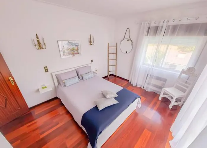 Delfim E Carmo - Entire House Com Piscina São Pedro do Sul